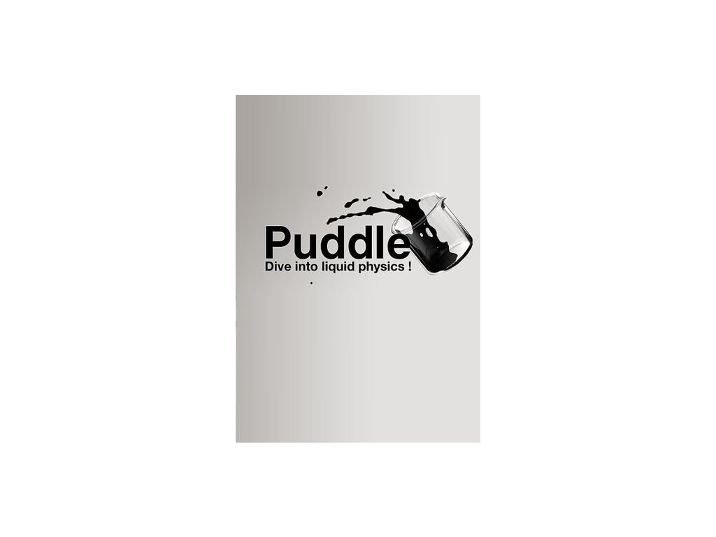 2981 puddle steam pc