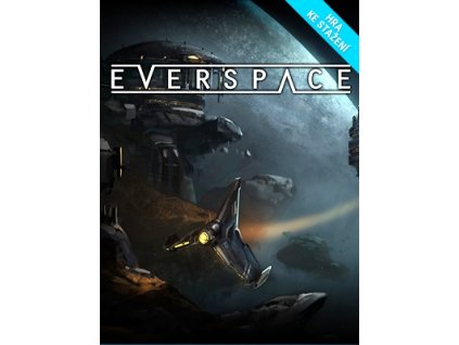 5318 everspace steam pc