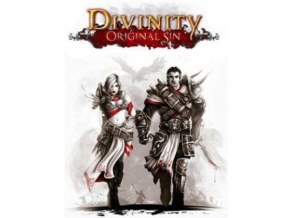 6806 divinity original sin enhanced edition gog pc