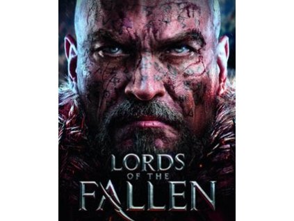7304 lords of the fallen steam pc