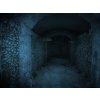 Gallery image from Muve