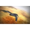 Gallery image from Muve