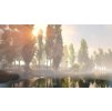 Gallery image from Muve