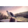 Gallery image from Muve