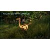 Gallery image from Muve