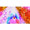 Gallery image from Muve