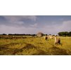 Gallery image from Muve