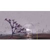 Gallery image from Muve