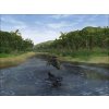 Gallery image from Muve