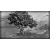 Gallery image from Muve