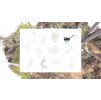 Gallery image from Muve