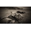 Gallery image from Muve