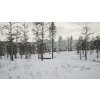 Gallery image from Muve