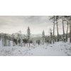 Gallery image from Muve