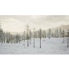 Gallery image from Muve