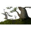 Gallery image from Muve