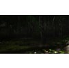 Gallery image from Muve