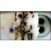 Gallery image from Muve