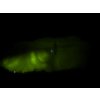 Gallery image from Muve