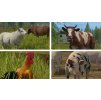 Gallery image from Muve