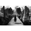 Gallery image from Muve