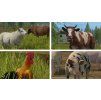 Gallery image from Muve