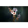 Gallery image from Muve