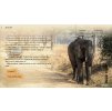 Gallery image from Muve