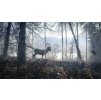 Gallery image from Muve