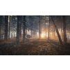 Gallery image from Muve