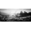 Gallery image from Muve
