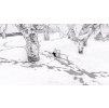 Gallery image from Muve