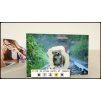 Gallery image from Muve