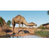 Gallery image from Muve