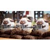 Gallery image from Muve
