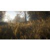 Gallery image from Muve