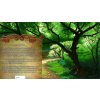 Gallery image from Muve