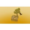 Gallery image from Muve
