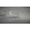 Gallery image from Muve
