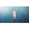 Gallery image from Muve