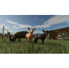 Gallery image from Muve