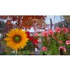 Gallery image from Muve