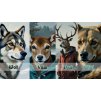 Gallery image from Muve