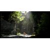 Gallery image from Muve