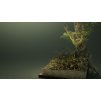 Gallery image from Muve